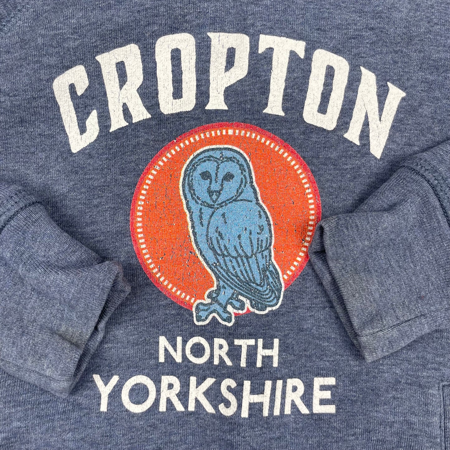 Blauer Kapuzenpullover Stanley/Stella mit Cropton North Yorkshire Eulen-Print, Größe 3–4Y (98–104 cm). – detail