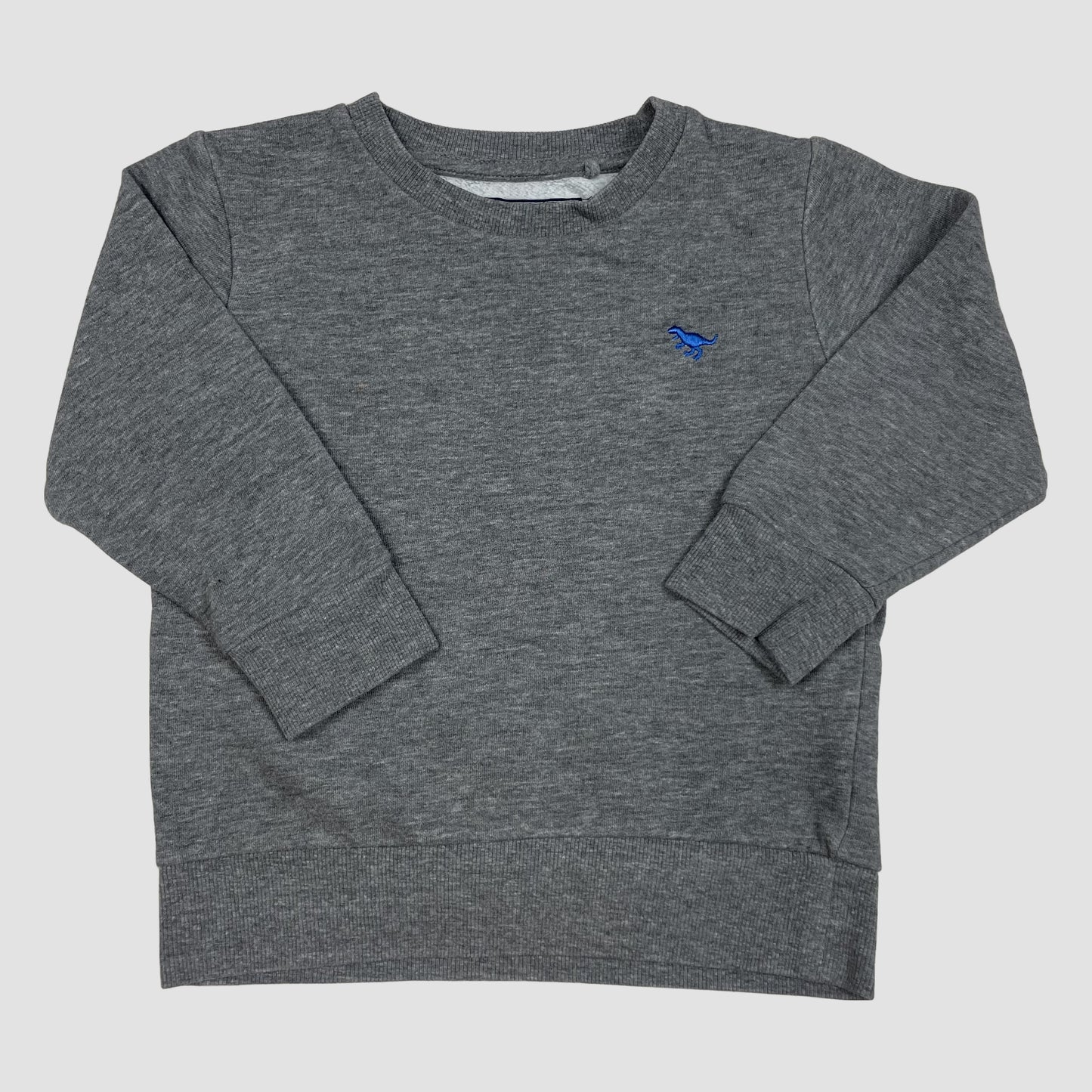 Graues Kinder-Sweatshirt mit Dino-Stickerei, Größe 92 – front