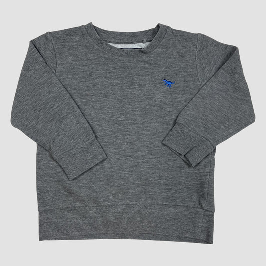 Graues Kinder-Sweatshirt mit Dino-Stickerei, Größe 92 – front