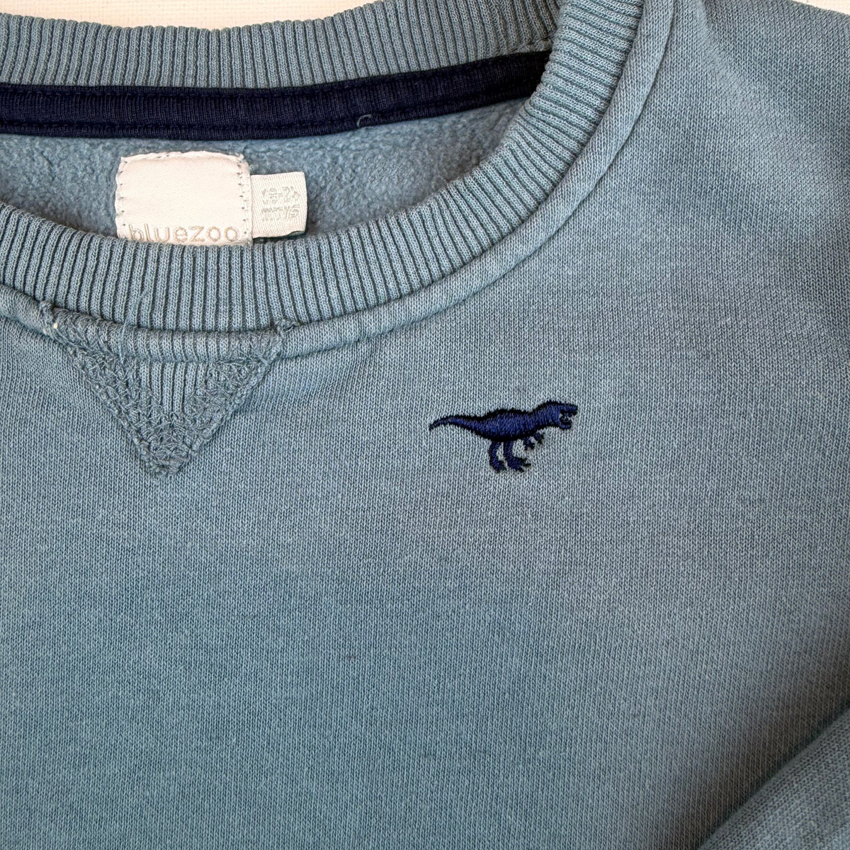 Blaues Kinder-Sweatshirt mit Dino-Stickerei und Rippbündchen – collar